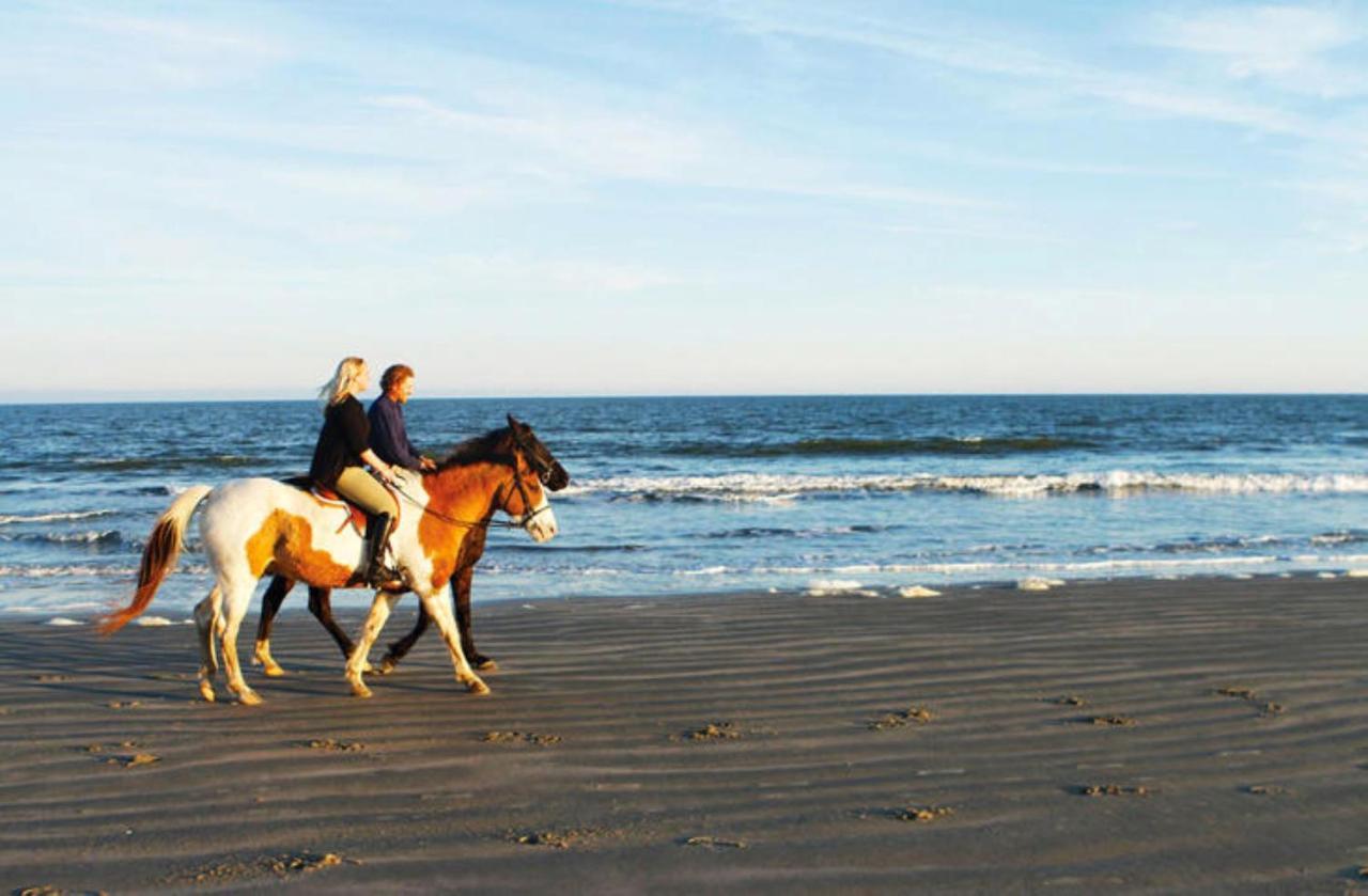 1314 Pelican Watch - Seabrook Island - Beachfront 5 Star Condo - Fido Friendly Zewnętrze zdjęcie
